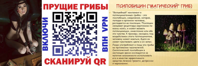 Галлюциногенные грибы MAGIC MUSHROOMS  МЕГА сайт  Темников 